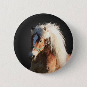 Bóton Redondo 5.08cm Cavalo de Haflinger
