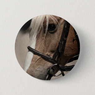 Bóton Redondo 5.08cm Cavalo de Palomino em Bridle