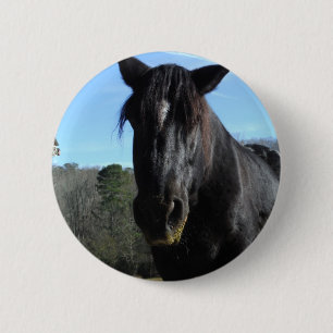 Bóton Redondo 5.08cm Cavalo de Rascunho Negro Resgatado