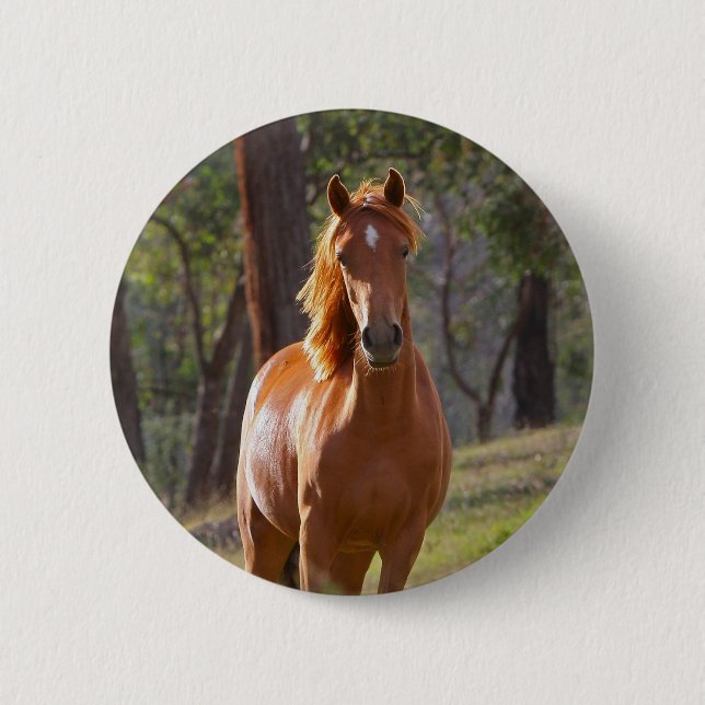 Bóton Redondo 5.08cm Cavalo nas madeiras (Frente)