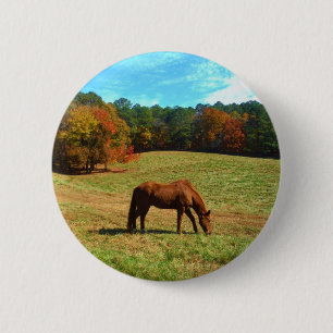 Bóton Redondo 5.08cm Cavalo Vermelho Castanho, céu azul Teal
