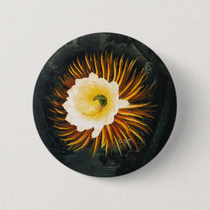 Bóton Redondo 5.08cm Cereus Noturno Antigo a Florescer Arte Gótica