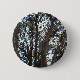 Bóton Redondo 5.08cm céu azul de carvalho e musgo