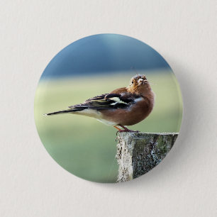 BÓTON REDONDO 5.08CM CHAFFINCH
