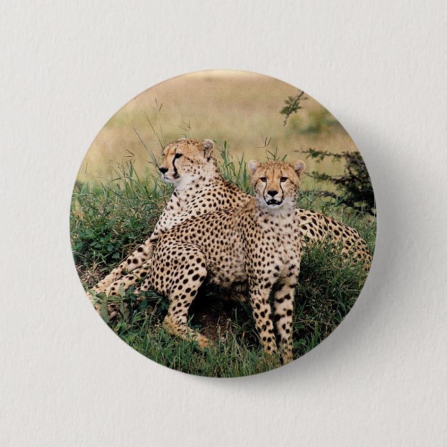 Bóton Redondo 5.08cm Cheetah Pair (Frente)