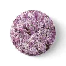 Cherry Blossom Primavera