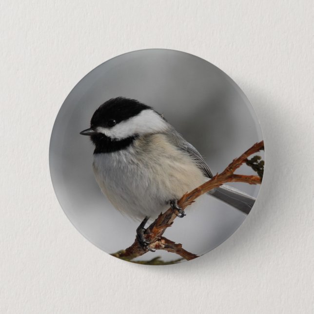 Bóton Redondo 5.08cm Chickadee de Maine (Frente)