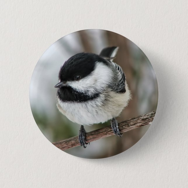 Bóton Redondo 5.08cm Chickadee pequeno bonito (Frente)
