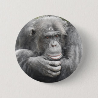 Bóton Redondo 5.08cm Chimpanzé Contemplativo