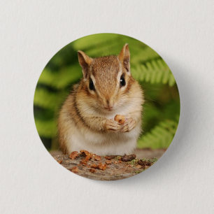 Bóton Redondo 5.08cm chipmunk doce do bebê