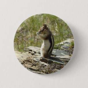 Bóton Redondo 5.08cm Chipmunk no Parque Nacional Glacier II