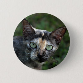 Bóton Redondo 5.08cm Cinza de Gato Branco Castanho com Olhos Verdes