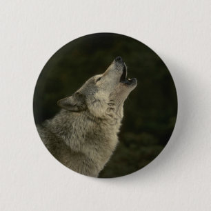 Bóton Redondo 5.08cm Cinza Wolf