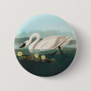 Bóton Redondo 5.08cm cisnes brancas de pássaro de audubon do cisne