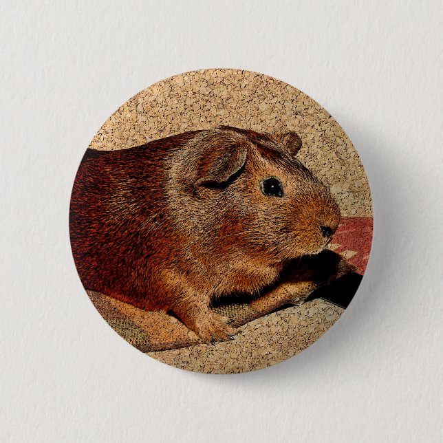 Bóton Redondo 5.08cm Cobaia do olhar de Corkboard (Frente)