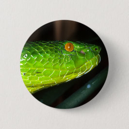 Bóton Redondo 5.08cm Cobra da víbora de poço de Stejneger verde