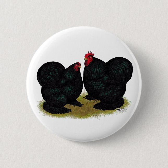 Bóton Redondo 5.08cm Cochins Black Bantam Pair (Frente)