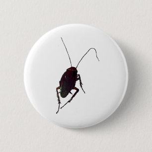 Bóton Redondo 5.08cm Cockroach
