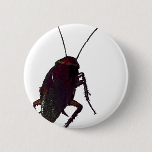 Bóton Redondo 5.08cm Cockroach