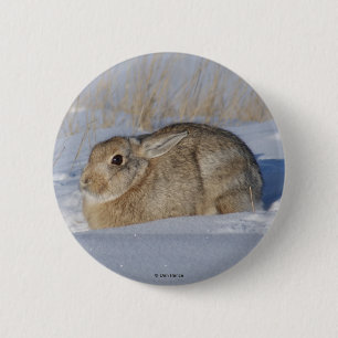 Bóton Redondo 5.08cm Coelho Cottontail R5 na Neve