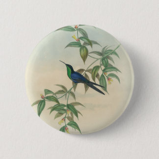 Bóton Redondo 5.08cm Colibri verde e azul de Gould
