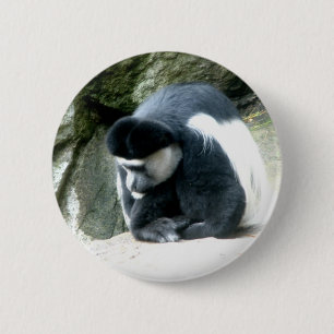 Bóton Redondo 5.08cm Colobus