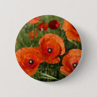 Bóton Redondo 5.08cm Common Poppies 