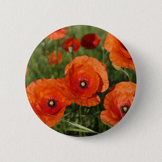 Bóton Redondo 5.08cm Common Poppies  (Frente)
