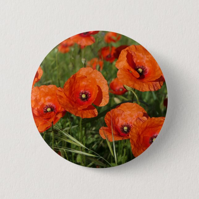 Bóton Redondo 5.08cm Common Poppies  (Frente)
