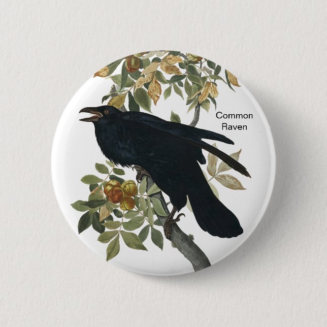 Bóton Redondo 5.08cm Common Raven by Audubon, Black Crow, Birdwatcher (Frente)