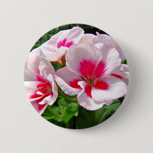 Bóton Redondo 5.08cm Cor-de-rosa e vermelho Geranium Floral