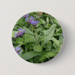 Bóton Redondo 5.08cm Cornflower Button