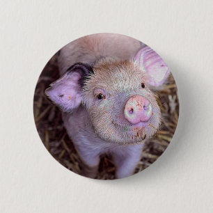 Bóton Redondo 5.08cm Cozmico