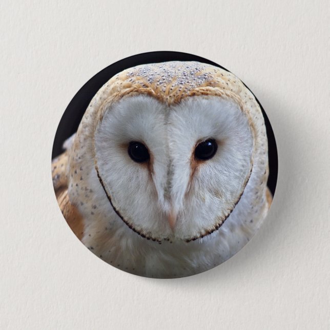 Bóton Redondo 5.08cm Crachá Barn Owl (Frente)