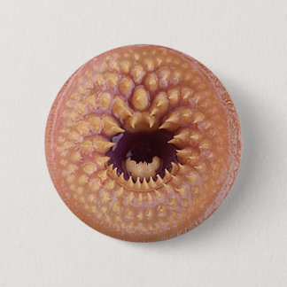 Bóton Redondo 5.08cm crachá do bitey