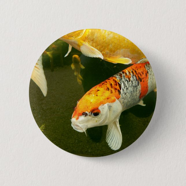 Bóton Redondo 5.08cm Crachá Koi Carp (Frente)