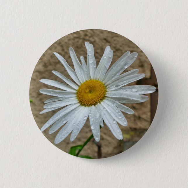 Bóton Redondo 5.08cm Crachá Leucanthemum Bloom (Frente)