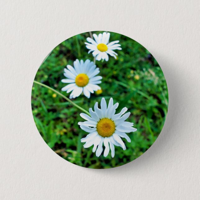 Bóton Redondo 5.08cm Crachá Ox-Eye Daisies (Frente)
