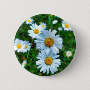 Bóton Redondo 5.08cm Crachá Ox-Eye Daisies