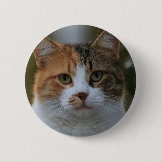 Bóton Redondo 5.08cm Crie Sua Própria Foto Personalizada de Gato de Est