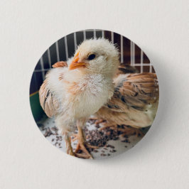 Bóton Redondo 5.08cm Cute Baby Chick Round Button