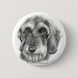 Bóton Redondo 5.08cm Dachshund Fio-De cabelo
