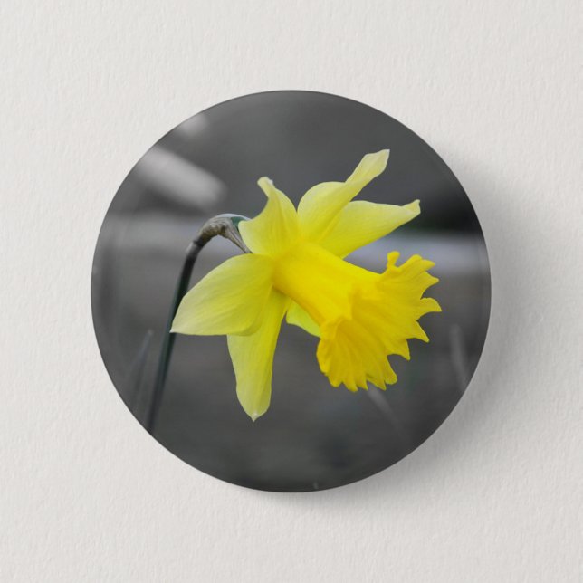 Bóton Redondo 5.08cm Daffodil (Frente)
