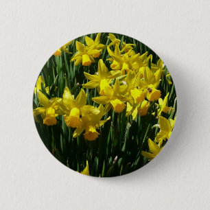 Bóton Redondo 5.08cm Daffodils Amarelos I Flores De Mola Cheery