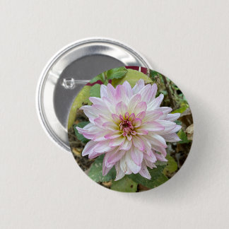 Bóton Redondo 5.08cm Dália com Pontas Rosa Claro