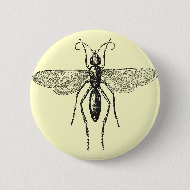 Bóton Redondo 5.08cm Damselfly (Frente)