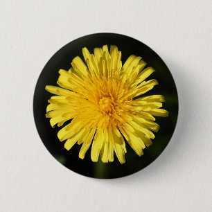 Bóton Redondo 5.08cm Dandelion