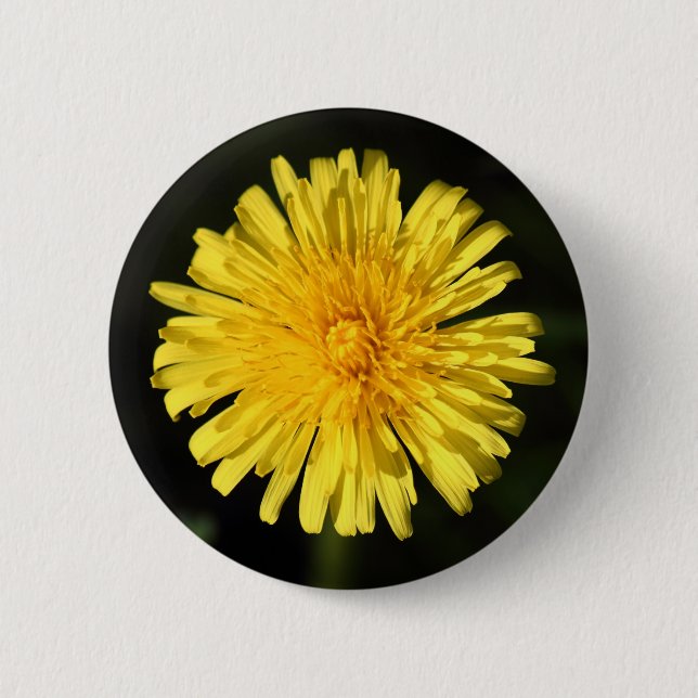 Bóton Redondo 5.08cm Dandelion (Frente)