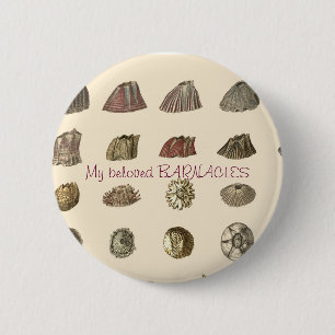 Bóton Redondo 5.08cm darwin-monografia-barnacles, meus BARNACLES amados