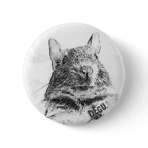 ☆DEGU.☆